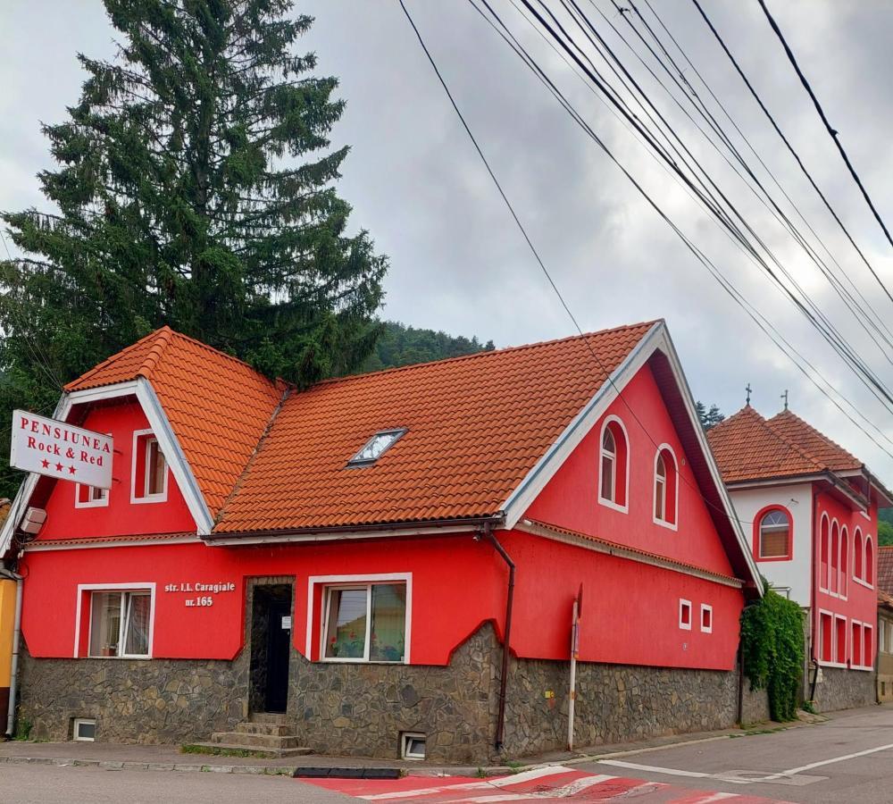 Pensiunea Rock And Red Rîşnov エクステリア 写真